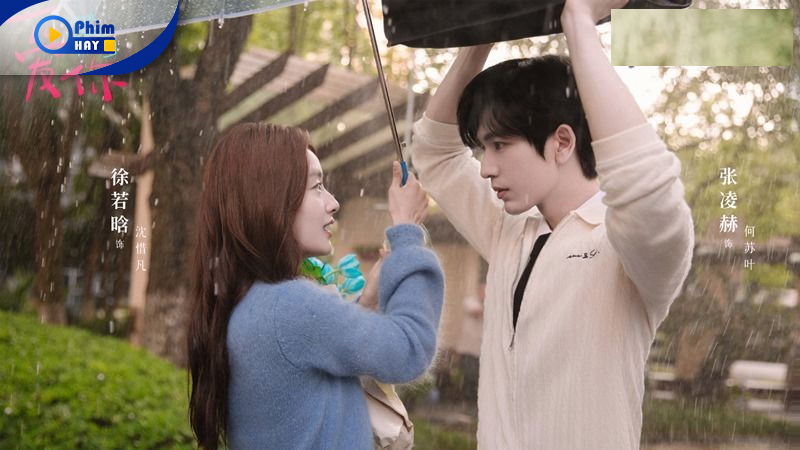 Phim Hay review Yêu Em (The Best Thing): Nội dung, Lịch chiếu, Diễn viên 8 Bộ phim Yêu Em nhẹ nhàng, đậm chất chữa lành